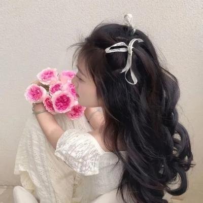 河狸变身计划 电影海报